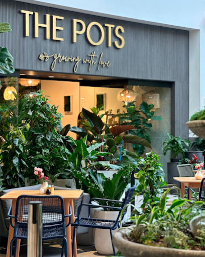 The Pots