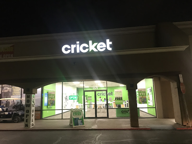 Cricket