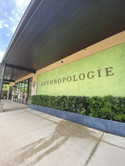 Anthropologie