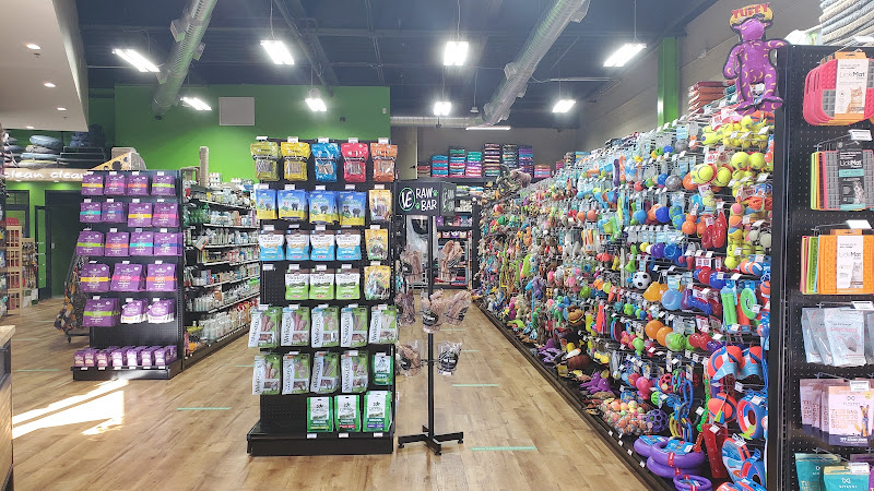 Healthy Pet - Galleria