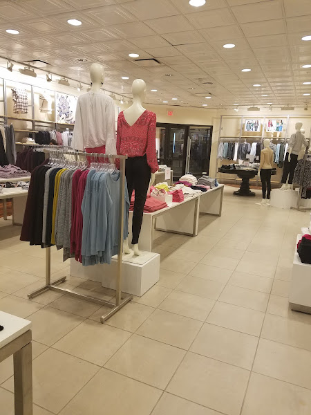 Ann Taylor Loft