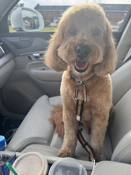 Von Barkee's Dog Spa & Bakery