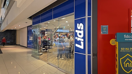 Lids