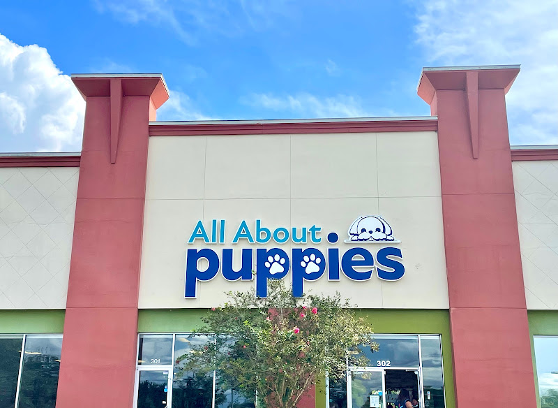 All About Puppies
