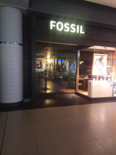 Fossil Store
