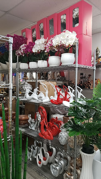 Botanica exclusividades olgimar llc