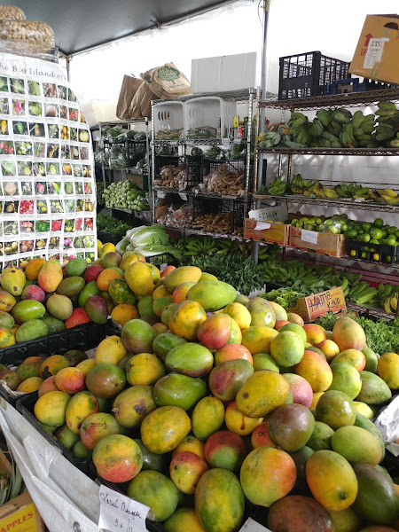 Mattie's Fresh Produce