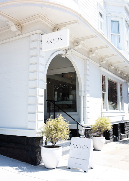 Anyon Atelier