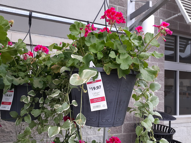 Walmart Garden Center