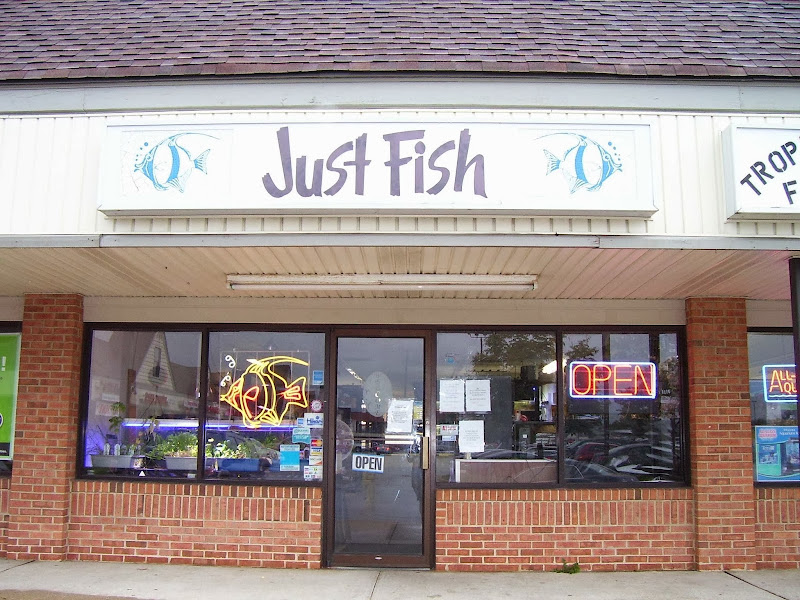 Just Fish