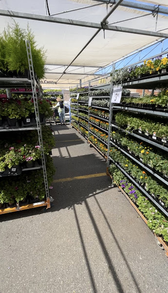 Walmart Garden Centre