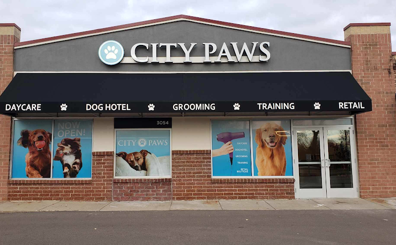 City Paws Pet Club - Dog Daycare, Boarding, Training & Grooming