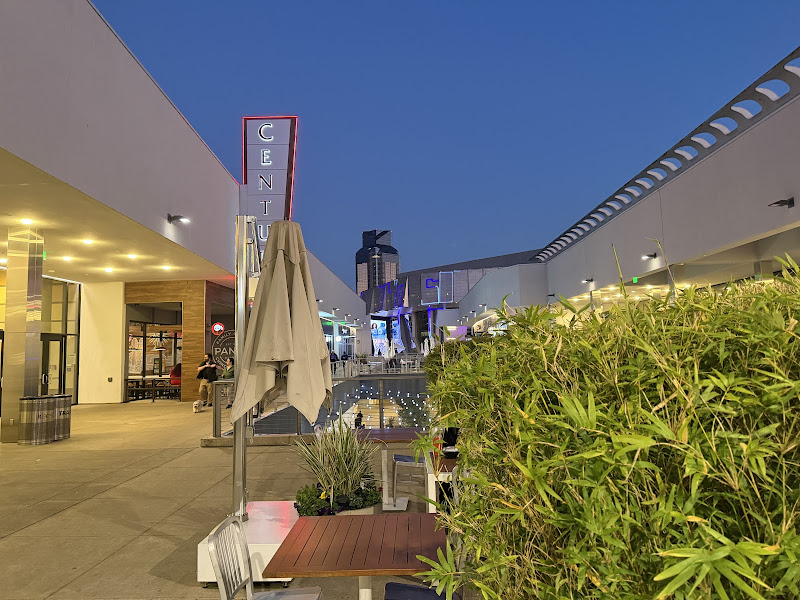 Sol Blume Store