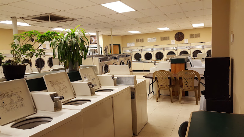 Lily Pad Laundry Co