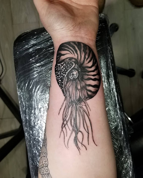 Chris Tatu at Kokopellis