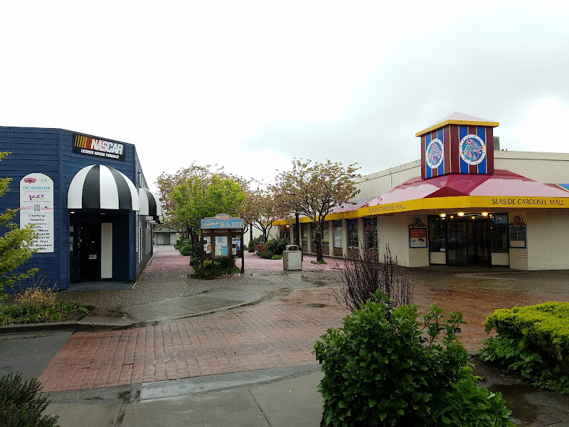 Carousel Mall