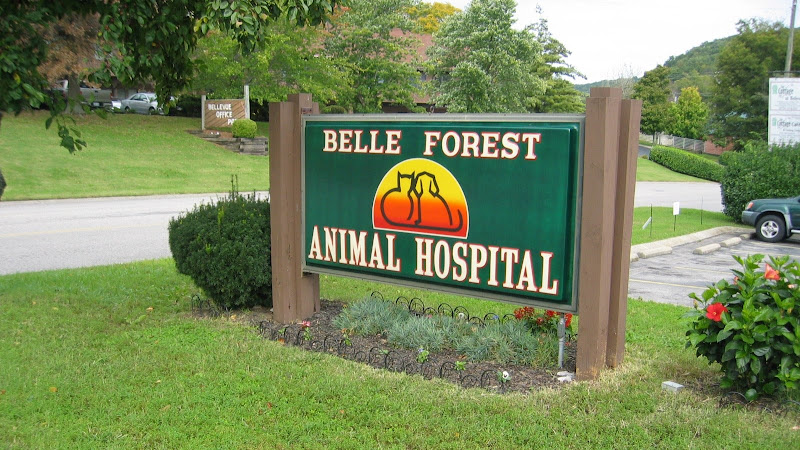 Belle Forest Animal Hospital