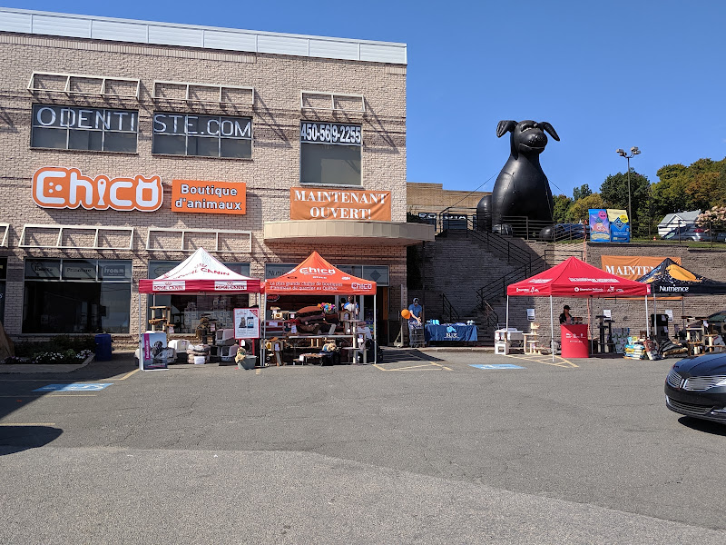 Chico