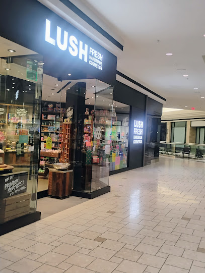 LUSH FRESH HANDMADE COSMETICS