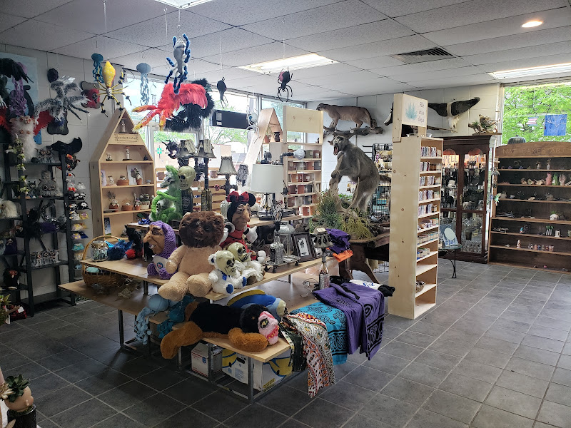 Fae's Cabinet