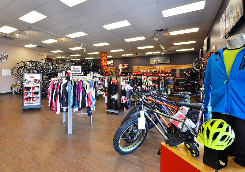 Bicycle Sports