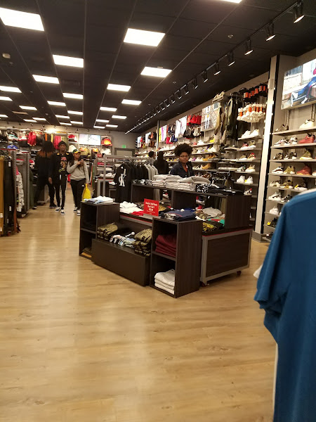 DTLR