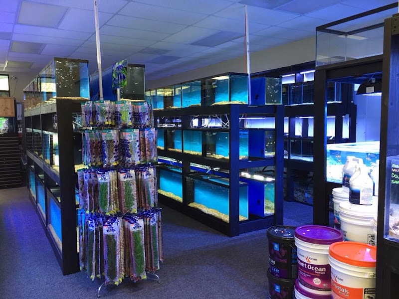 All Things Aquariums