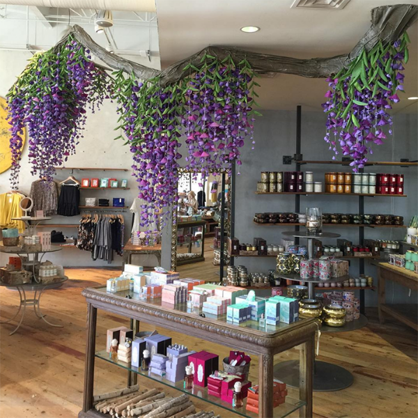Anthropologie