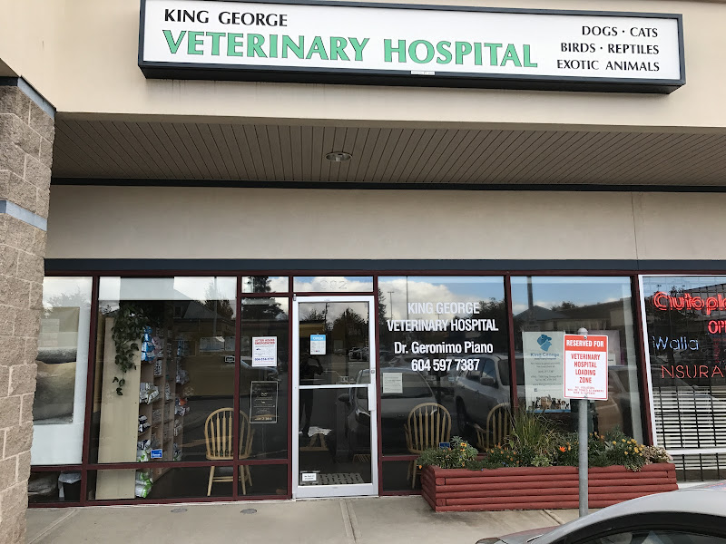 King George Veterinary Hospital