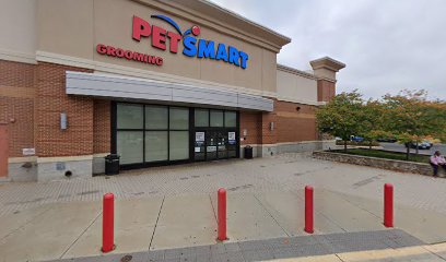 PetSmart Dog Training